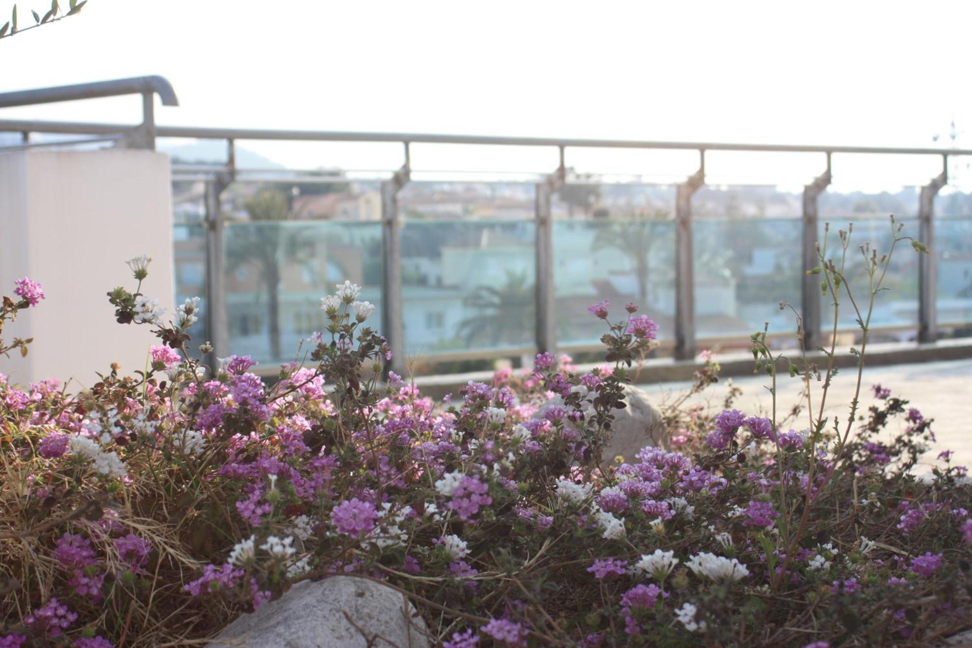 Hotel Rober Palas El Albir Εξωτερικό φωτογραφία